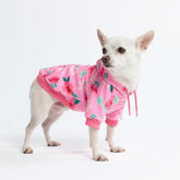 Spark Paws sudadera para perro, tejido elástico mantequilla-extensible.