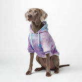 Spark Paws sudadera para perro, vista frontal, ajuste cómodo para todas las tallas.