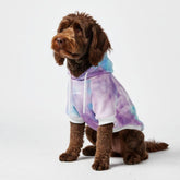 Spark Paws sudadera para perro, vista exterior, diseño cielo 90s con estilo retro y comodidad.