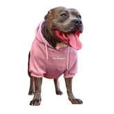 Spark Paws sudadera para perros, vista frontal, ajuste cómodo para paseos diarios.