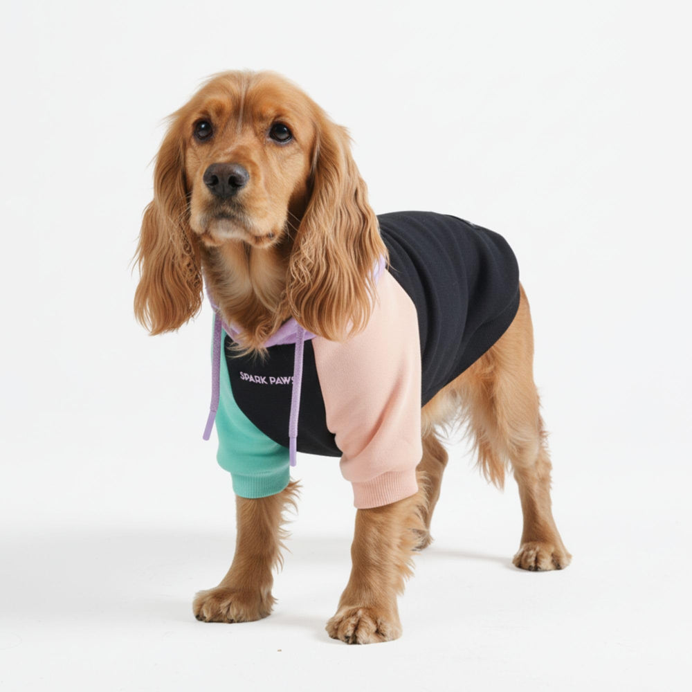 Spark Paws Sudadera para perros, vista frontal, comodidad para paseos diarios.