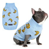 Spark Paws sueter perro tejido ultra suave, vista frontal, ideal para paseos diarios.