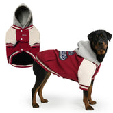 Spark Paws Varsity Sudadera para Perro, detalle frontal que mantiene cálido durante paseos.