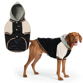 Spark Paws Varsity sudadera para perro, vista frontal, comodidad diaria.