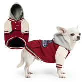 Spark Paws Varsity Sweater, vista frontal en rojo, estilo y comodidad diaria.