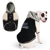 Spark Paws Varsity Sweater: vista frontal, ajuste cómodo para el día a día.