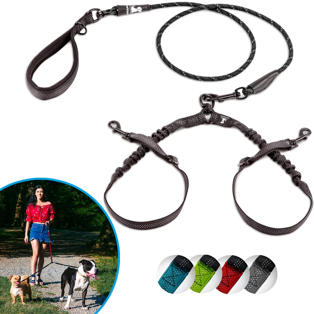 SparklyPets doble correa para perros pequeños, visión general para paseos cómodos y sincronizados.