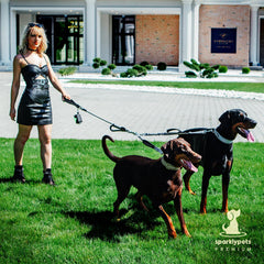 SparklyPets mangos ergonómicos y acolchados para control cómodo al pasear
