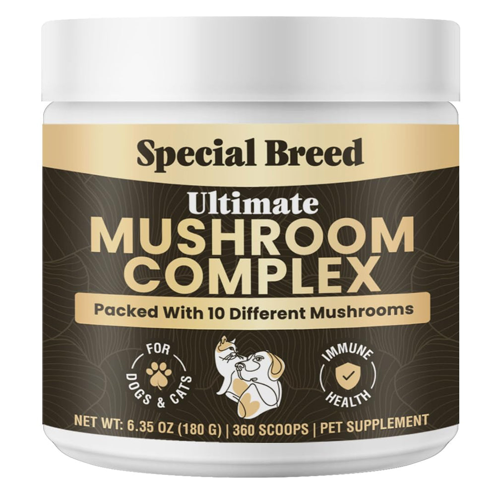 Special Breed polvo de hongos para perros y gatos en bote, fácil de usar.