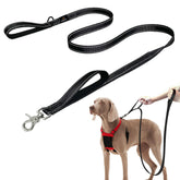 Sporn correa-perro asa doble acolchada para control cómodo durante el paseo.