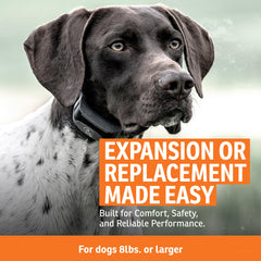 SportDOG DryTek, collar impermeable y sumergible para condiciones de lluvia