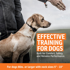 SportDOG FieldTrainer 425X con batería de carga rápida para sesiones largas.