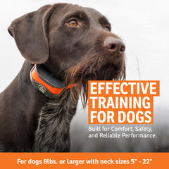 SportDOG SportTrainer 1275: alcance de 0,75 millas para entrenar en campo abierto.