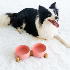 Conjunto SPUNKYJUNKY de dos tazones cerámicos para comida y agua, sin plomo.