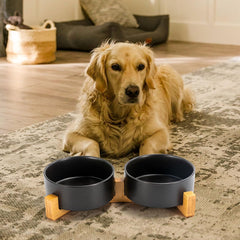 SPUNKYJUNKY dos tazones para alimento y agua, diseño cómodo para comer.