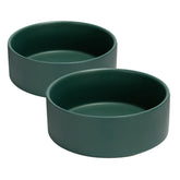 SPUNKYJUNKY tazón cerámico 60oz verde, vista frontal para evitar derrames