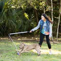 Flirt Pole V2 de Squishy Face Studio con cuerda elastica para evitar tirones