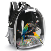 SSAWcasa mochila aves panel-transparente-frente, visión clara para paseos con tu loro