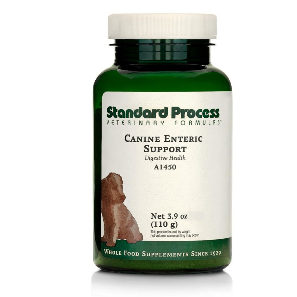 Standard Process Canine Enteric Support, botella digestiva de 110 g para apoyo digestivo suave.