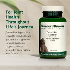 Standard Process Canine Flex Support fortalece el sistema inmunitario con vitaminas antioxidantes.