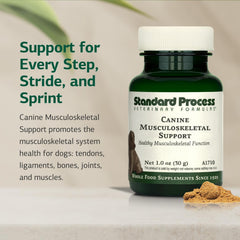 Standard Process Canino con Boswellia serrata para articulaciones saludables.
