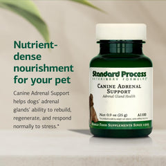 Standard Process Canino medidor grande para dosis según peso.