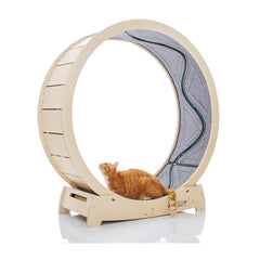 Star Catwheel con peces moviles para estimular juego diario.