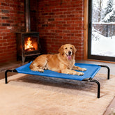 STARLATTA cama para perro elevada de 50 pulgadas ofrece estabilidad para dormir cómodo.