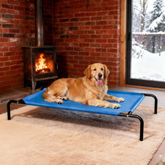STARLATTA cama para perro elevada de 50 pulgadas ofrece estabilidad para dormir cómodo.