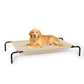Cama elevada STARLATTA para perros grandes de 50 pulgadas, descanso estable al aire libre o en casa.