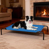 STARLATTA cama elevada con malla transpirable para enfriar al perro
