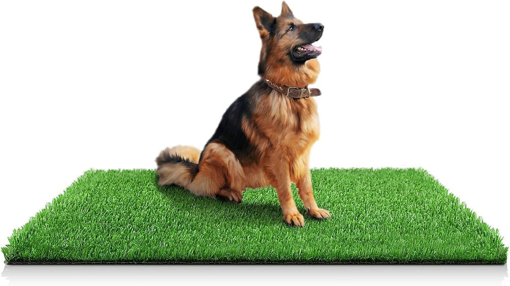 STARROAD-TIM alfombra artificial para perros con drenaje rápido, ideal para entrenamiento.