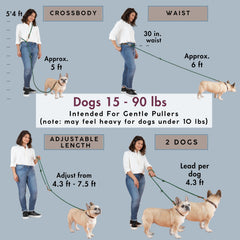 Sticks N' Bones Co correa para cintura, ideal para correr y paseos