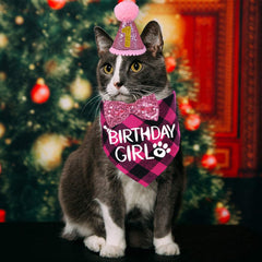 STMK sombrero de cumpleaños para gato, brillo y reutilizable