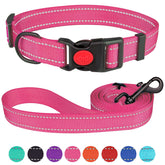 Collar reflectante de Stpiatue en nylon resistente para mayor visibilidad nocturna.