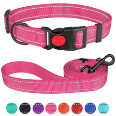 Collar reflectante de Stpiatue en nylon resistente para mayor visibilidad nocturna.