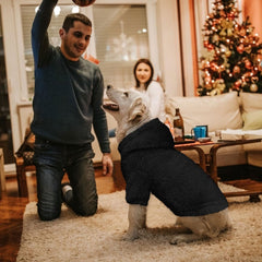 Stpiatue sudadera para perros grandes, espalda, estilo cómodo para noches frías.