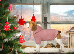 Capucha de la sudadera para perro mediano Stpiatue, ajuste cómodo.
