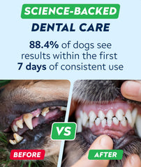 STRELLALAB mezcla al alimento, polvo dental para perros mejora la limpieza diaria.