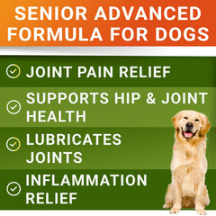 STRELLALAB Tiras masticables para articulaciones en perros grandes, apoyo diario.
