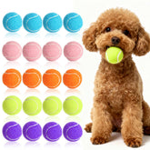 Paquete de 20 pelotas StyEdEk de 2 pulgadas para perros, ideal para juegos diarios
