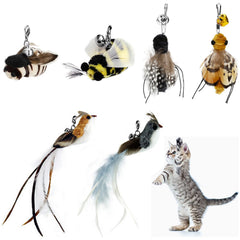 SUBANG Juguete para gatos con plumas repuesto, aves naturales para estimular la caza.