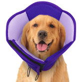 SUNFURA cono suave para perros en púrpura, cómodo y transpirable para la recuperación.