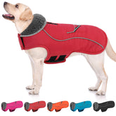 SUNFURA abrigo para perro, vista trasera con ribetes reflectantes para mayor visibilidad.