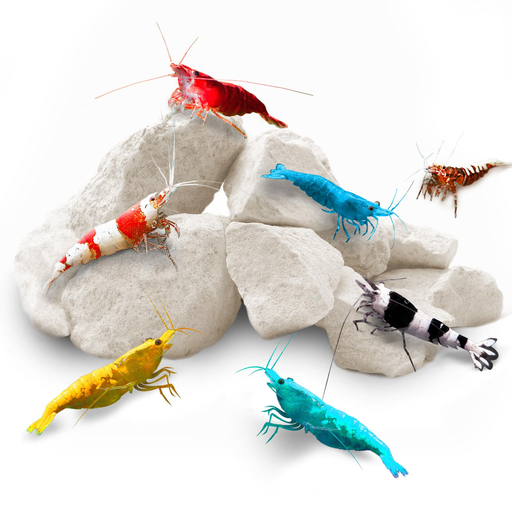 SunGrow Piedras para camarones en acuario, 4 oz, favorecen color y vitalidad.