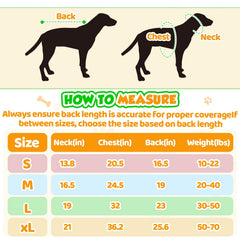Botas Sunnymove para perro, suelas antideslizantes negras protegen patas mojadas