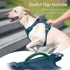 Sunraymascota arnés ajustable para un ajuste cómodo y duradero.