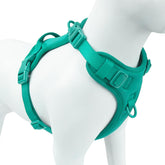 Sunraymascota arnés sin tirones con clip frontal para paseos tranquilos.