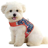 Arnés Sunraymascota con velcro para perro pequeño, ajuste rápido.
