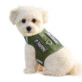 Sunraymascota arnes para perro, vista general, cómodo y seguro.
